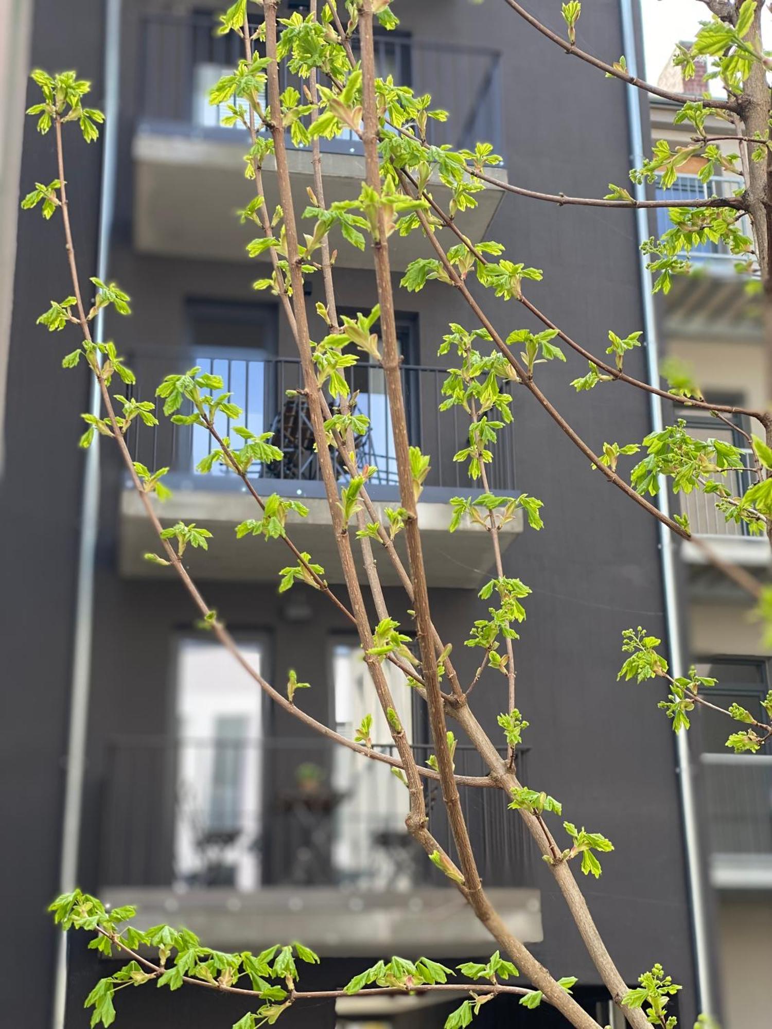Eiwelhome - Stilvoll, Urban-Ruhig Schlafen, Bahnhofsnah, Balkon 에르푸르트 외부 사진